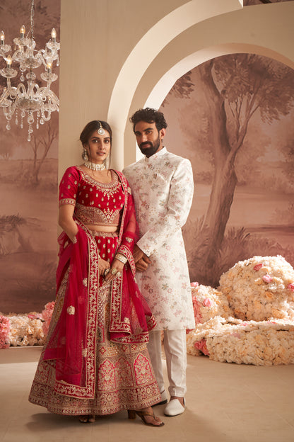 Sherwani - Off White