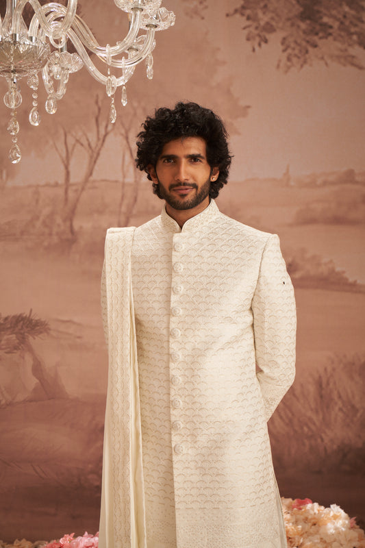 Sherwani - Gold