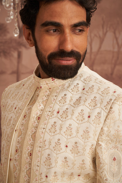 Sherwani - Gold