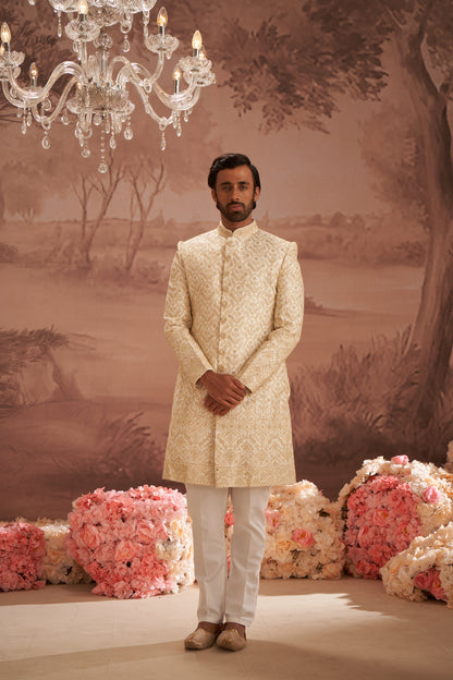 Sherwani - Gold
