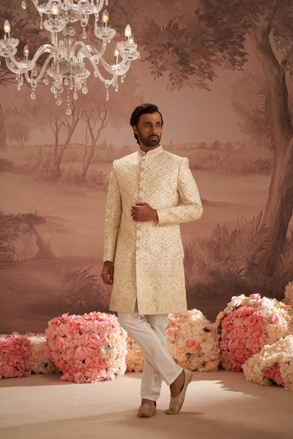 Sherwani - Gold