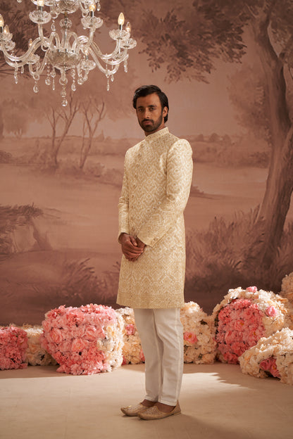 Sherwani - Gold