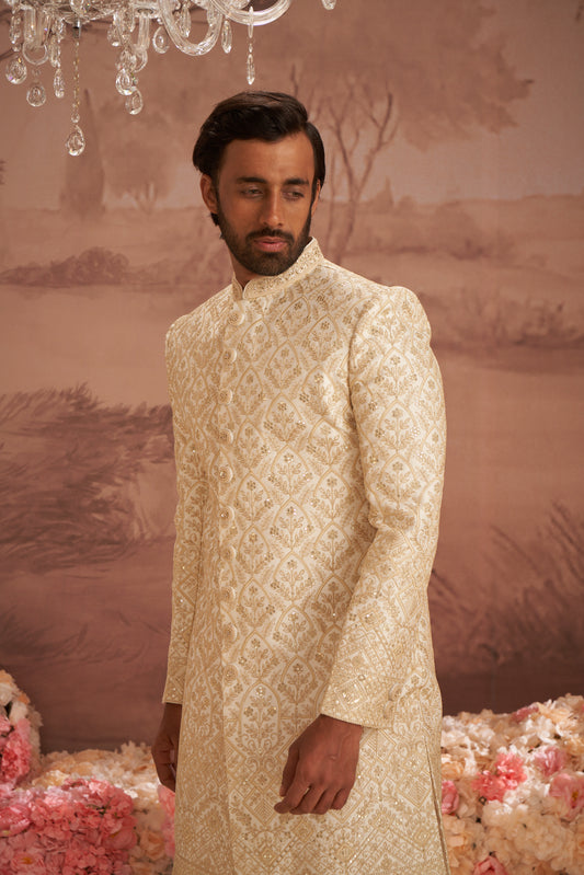 Sherwani - Gold