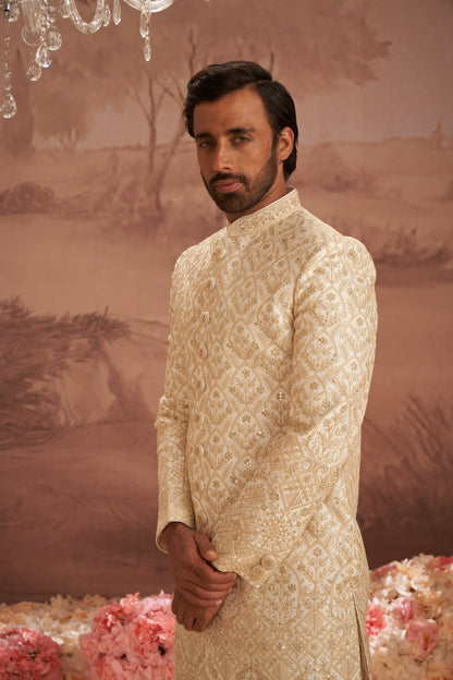 Sherwani - Gold
