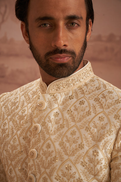 Sherwani - Gold